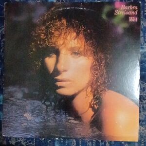 Wet Vinyl Record - Classic Pop Album (Brown, Black)